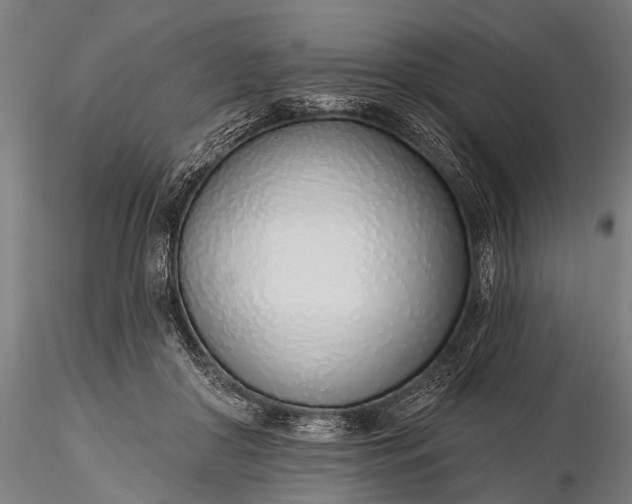 X0000116110410200912071327