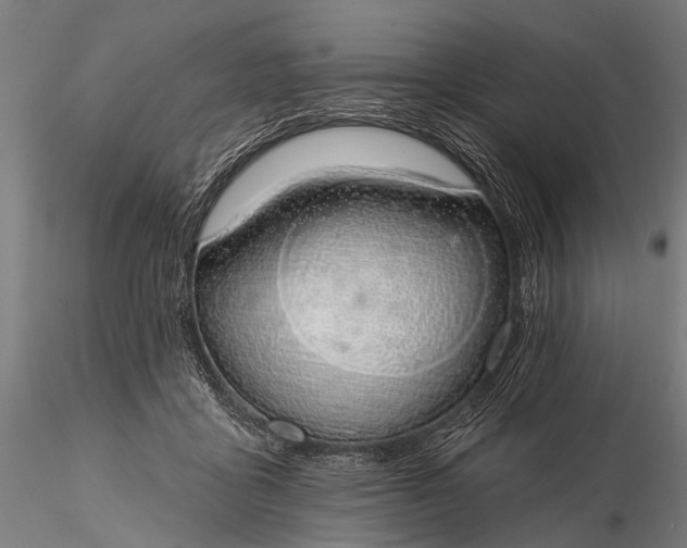 X0000116110411200912071327