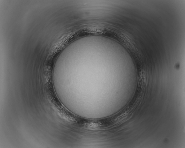 X0000116110412200912071327