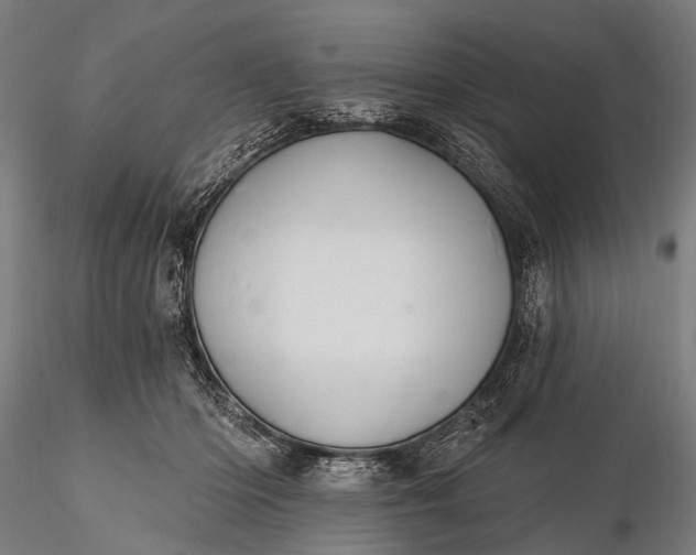 X0000116110414200912071327