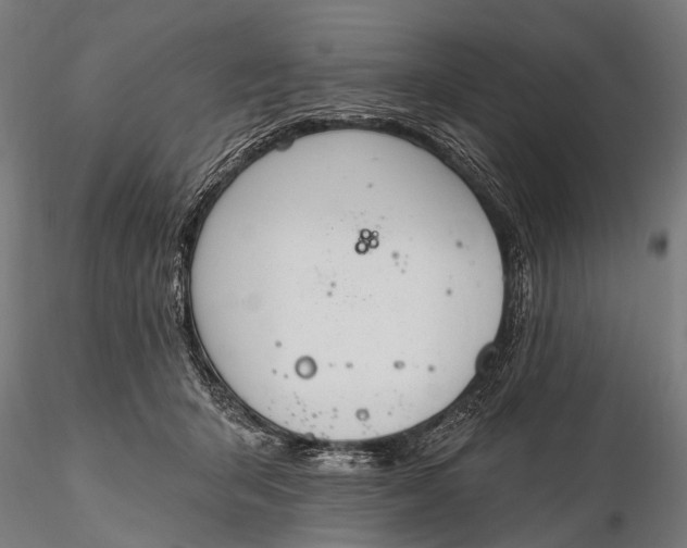 X0000116110415200912071327