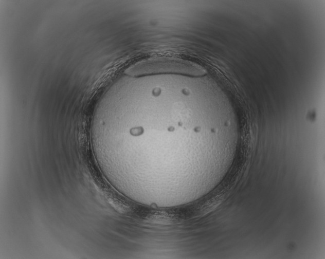 X0000116110416200912071327