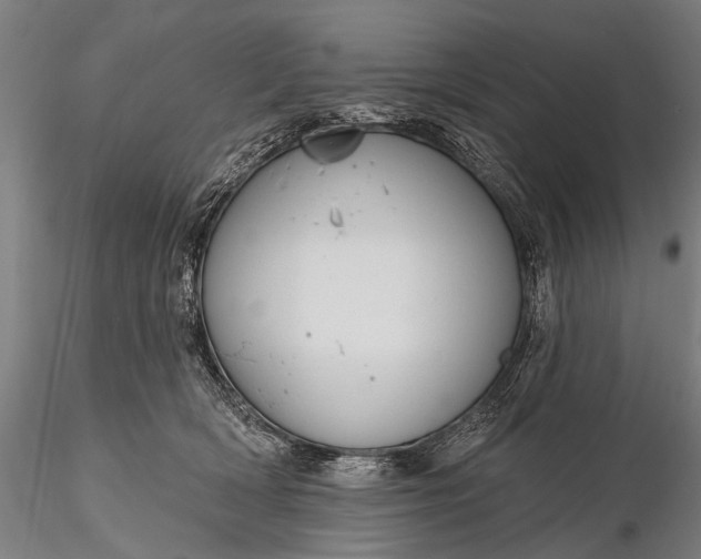 X0000116110418200912071327