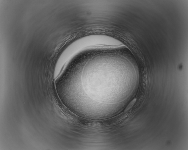 X0000116110419200912071327