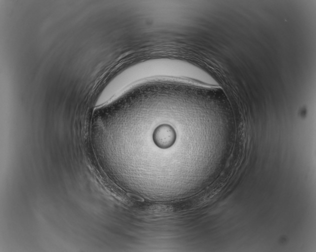 X0000116110421200912071327