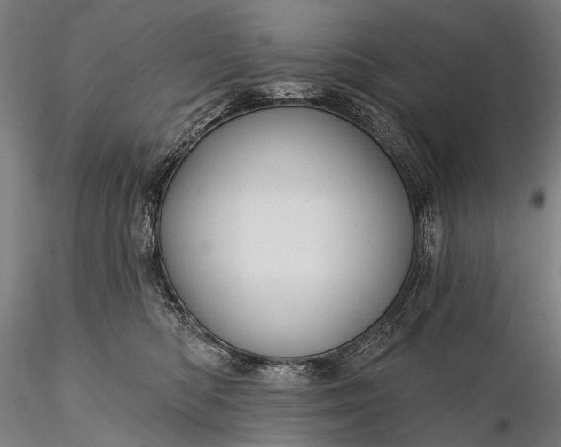 X0000116110422200912071327