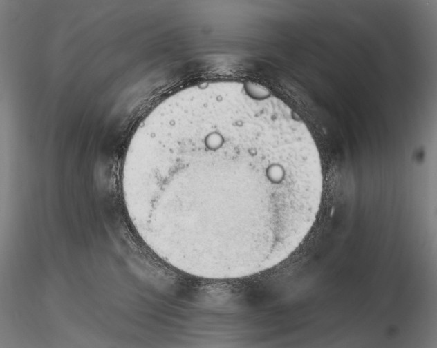 X0000116110423200912071327