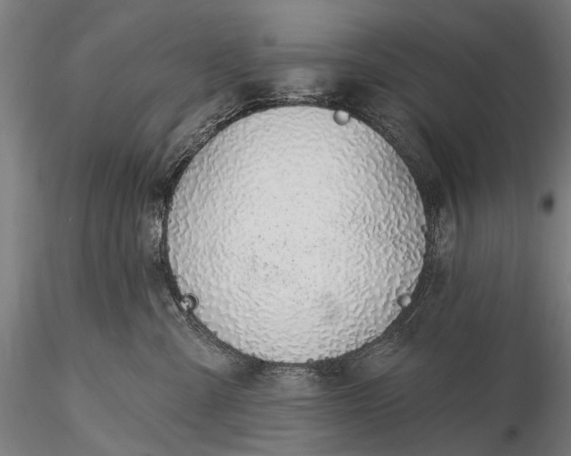 X0000116110427200912071327