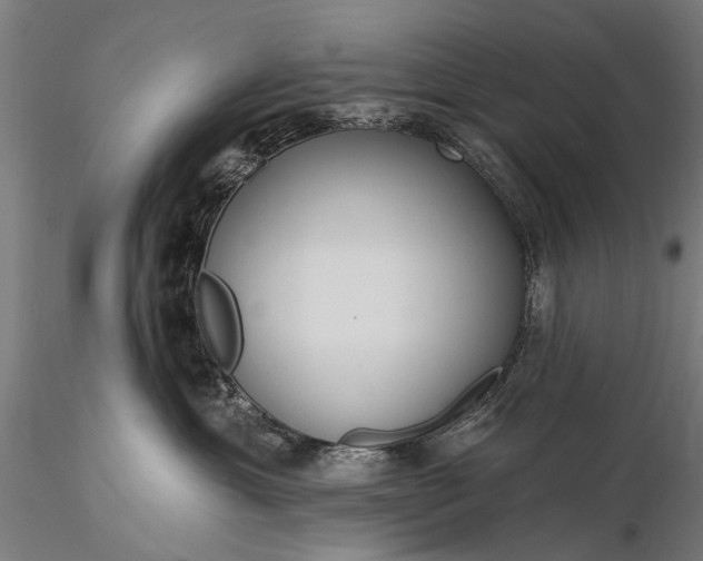 X0000116110429200912071327