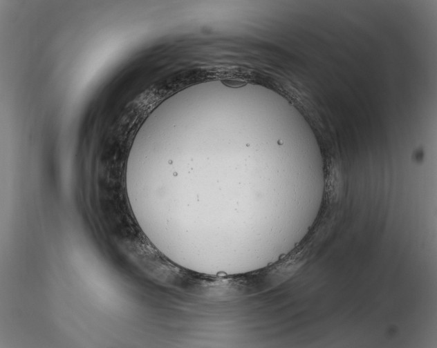 X0000116110430200912071327