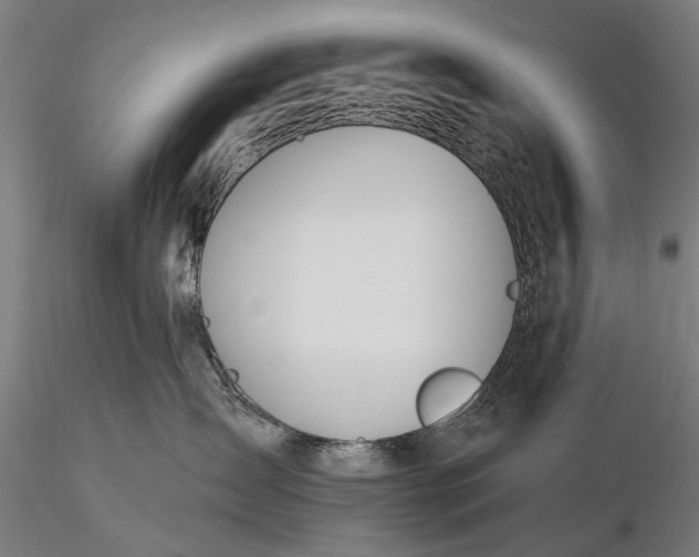 X0000116110431200912071327