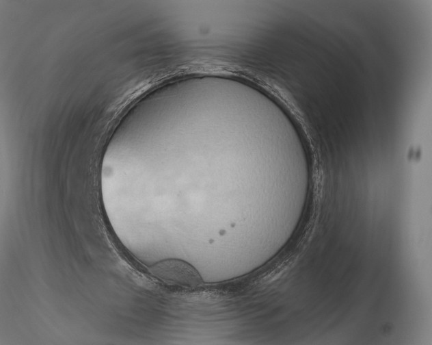 X0000116110433200912071326