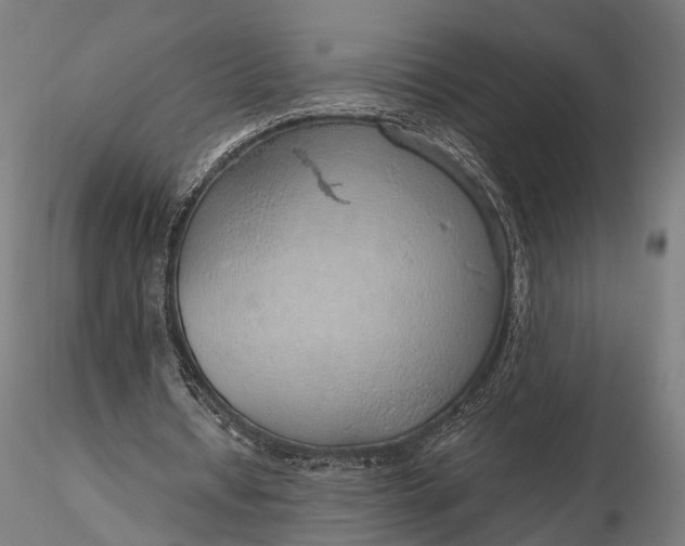 X0000116110434200912071326