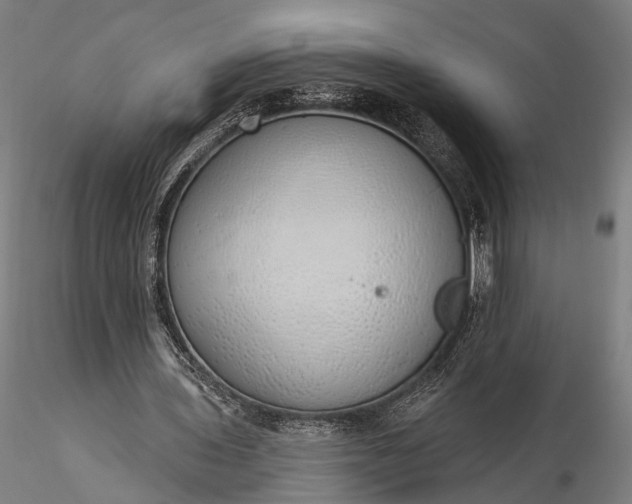 X0000116110435200912071326