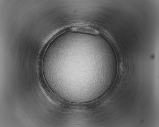 X0000116110436200912071326