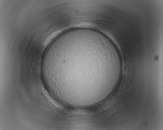 X0000116110437200912071326