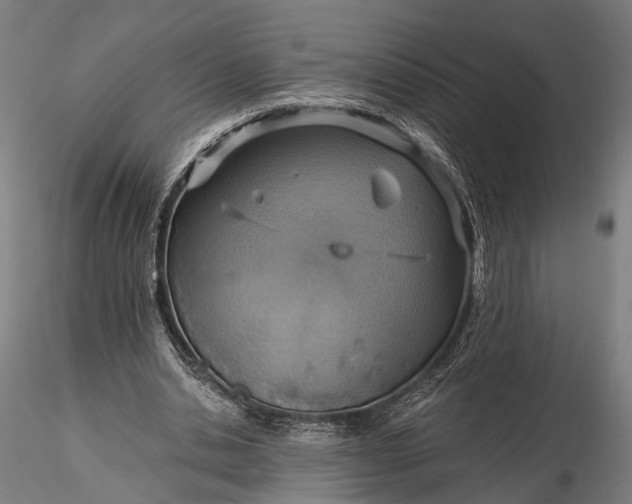 X0000116110438200912071326