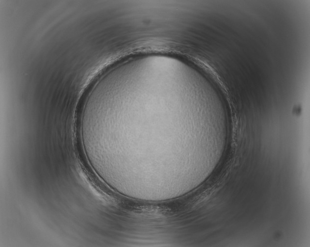 X0000116110439200912071326