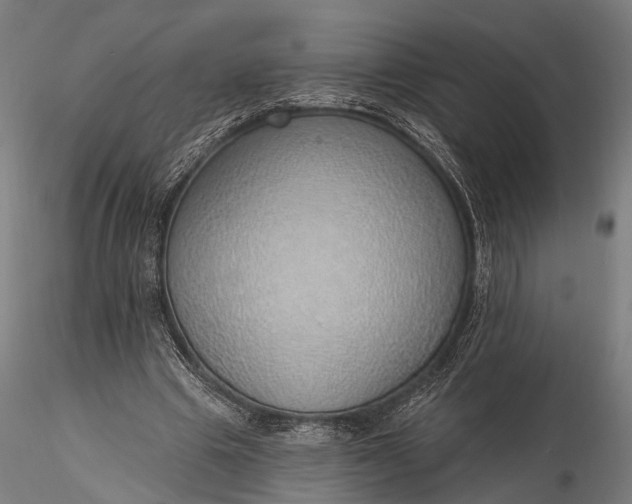 X0000116110441200912071326