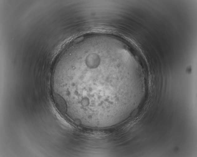 X0000116110445200912071326