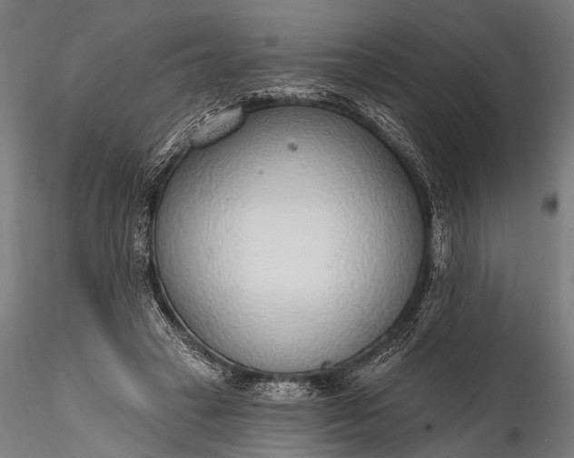 X0000116110449200912071326