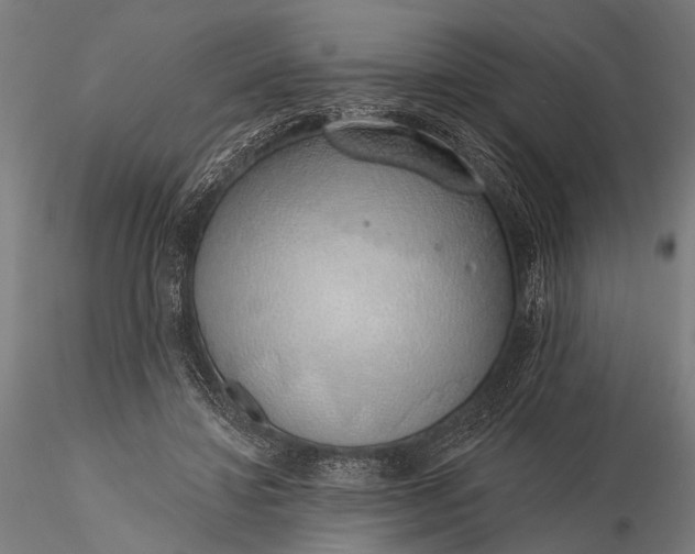 X0000116110452200912071326