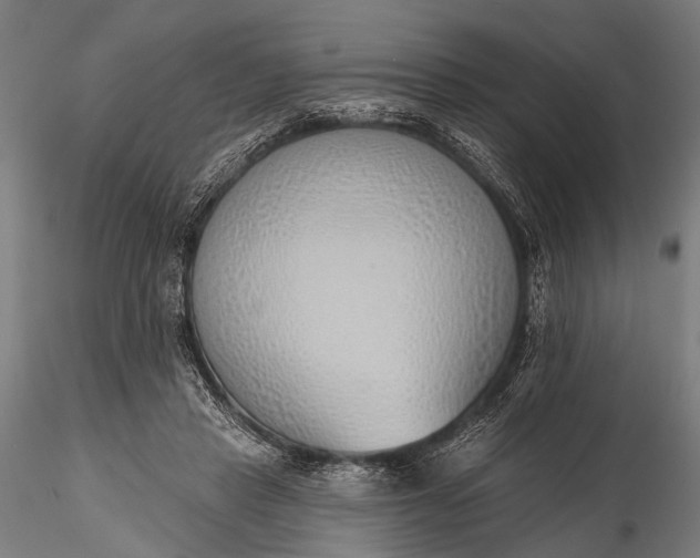 X0000116110453200912071326