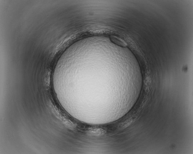 X0000116110454200912071326