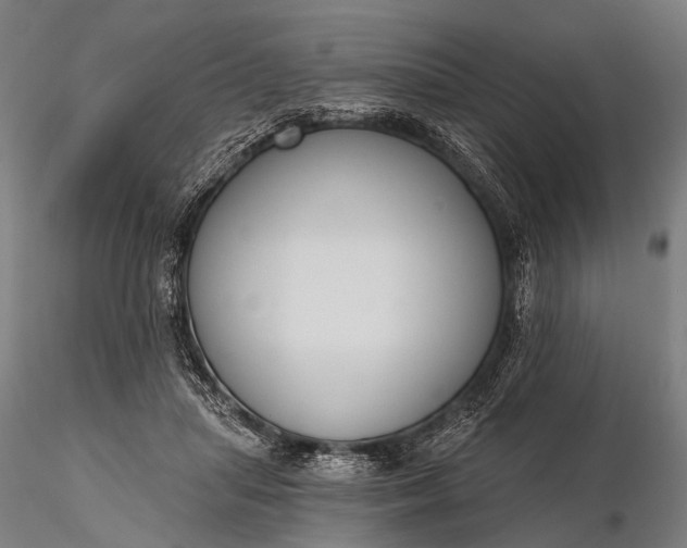 X0000116110455200912071326