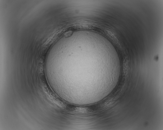 X0000116110457200912071326