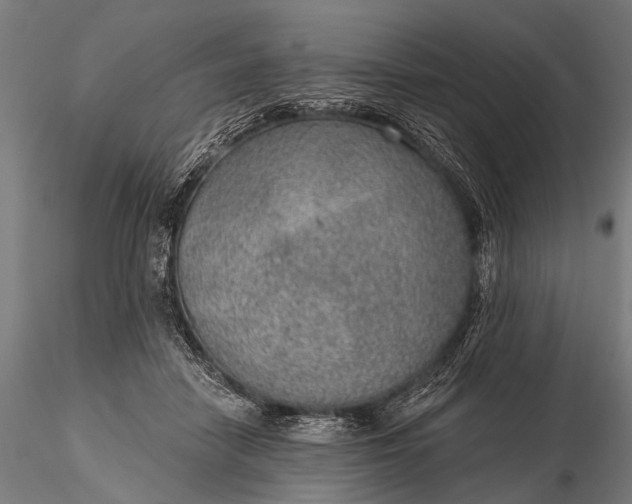 X0000116110458200912071326