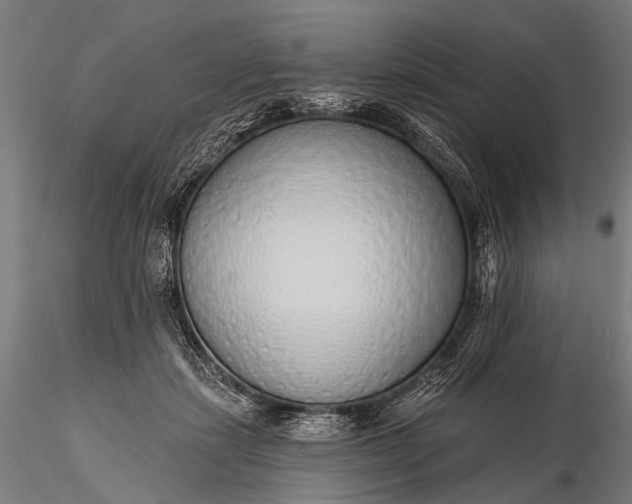 X0000116110459200912071326