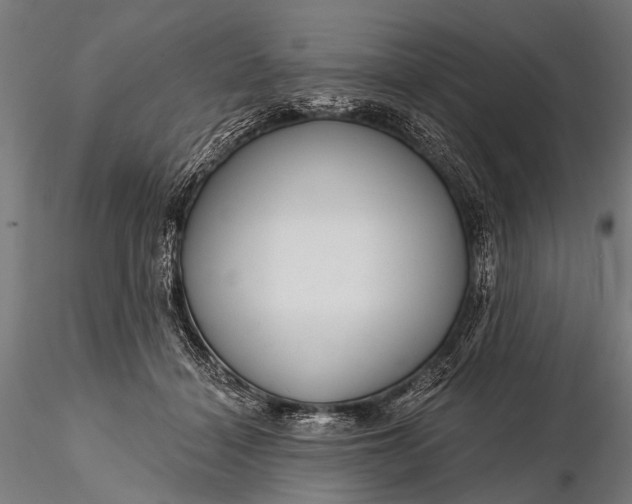 X0000116110460200912071326