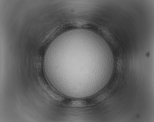 X0000116110461200912071326