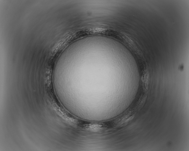 X0000116110462200912071326