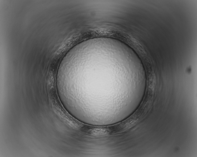 X0000116110465200912071326