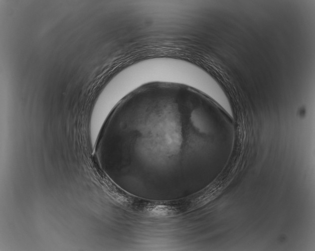 X0000116110467200912071326