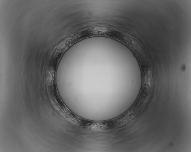 X0000116110468200912071326