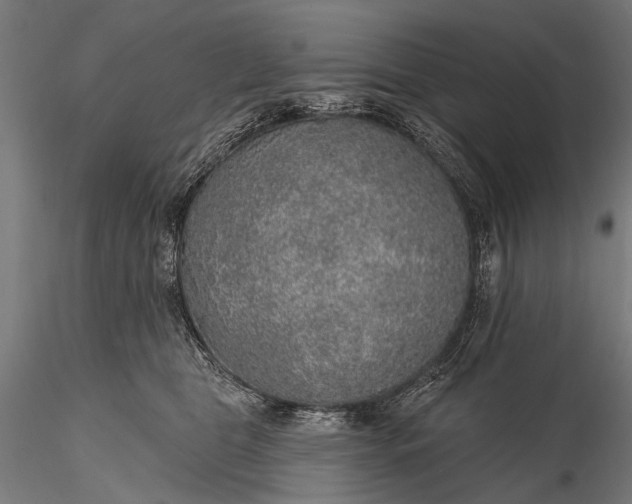 X0000116110469200912071326