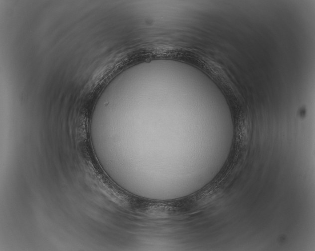 X0000116110470200912071326