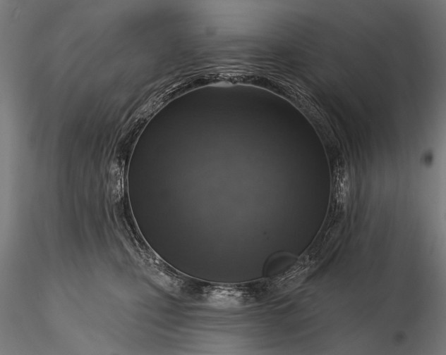 X0000116110471200912071326