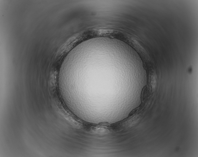 X0000116110475200912071326