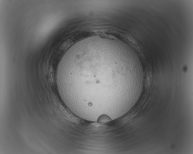 X0000116110477200912071326