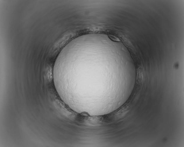 X0000116110479200912071326