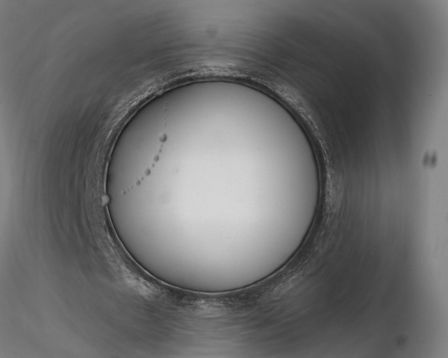 X0000116110481200912071326