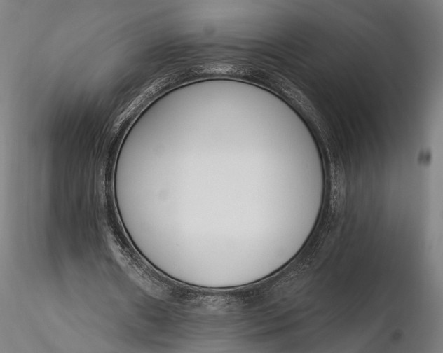 X0000116110482200912071326