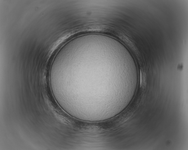 X0000116110483200912071326