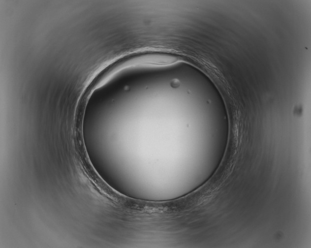 X0000116110484200912071326