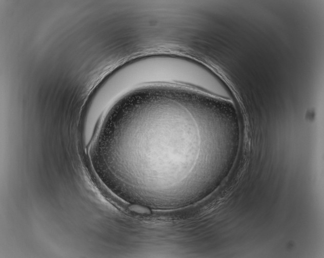 X0000116110485200912071326