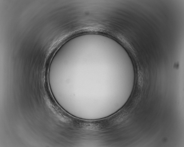 X0000116110486200912071326